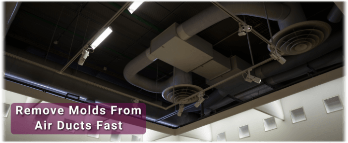 Air Duct Mold Removal in Pembroke Pines FL